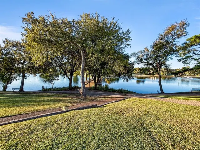 a view of a yard with a tree