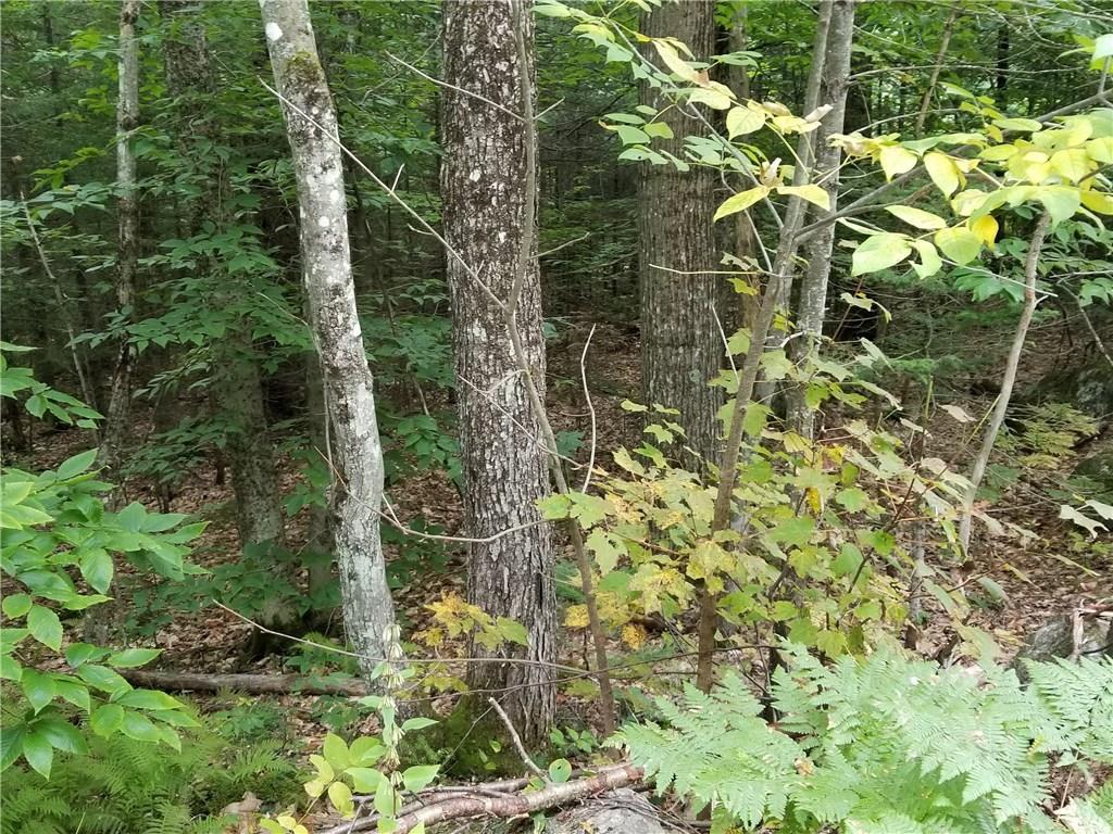 0 Brock School Road Buckfield, ME 04220 - Photo 15 of 19 Photo