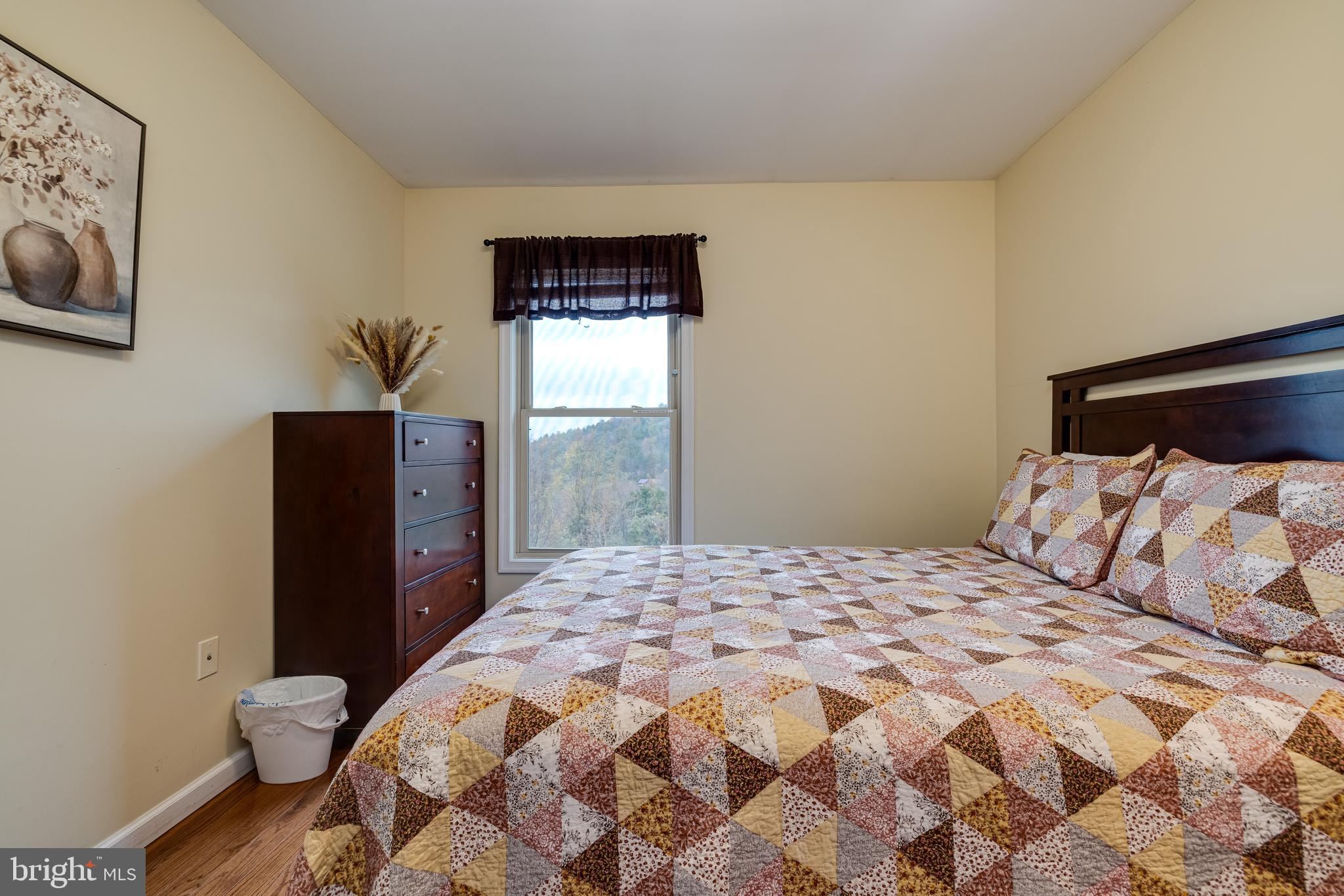 2225 Valley Burg Road Luray, VA 22835 - Photo 17 of 74 a bedroom with a bed and a potted plant
