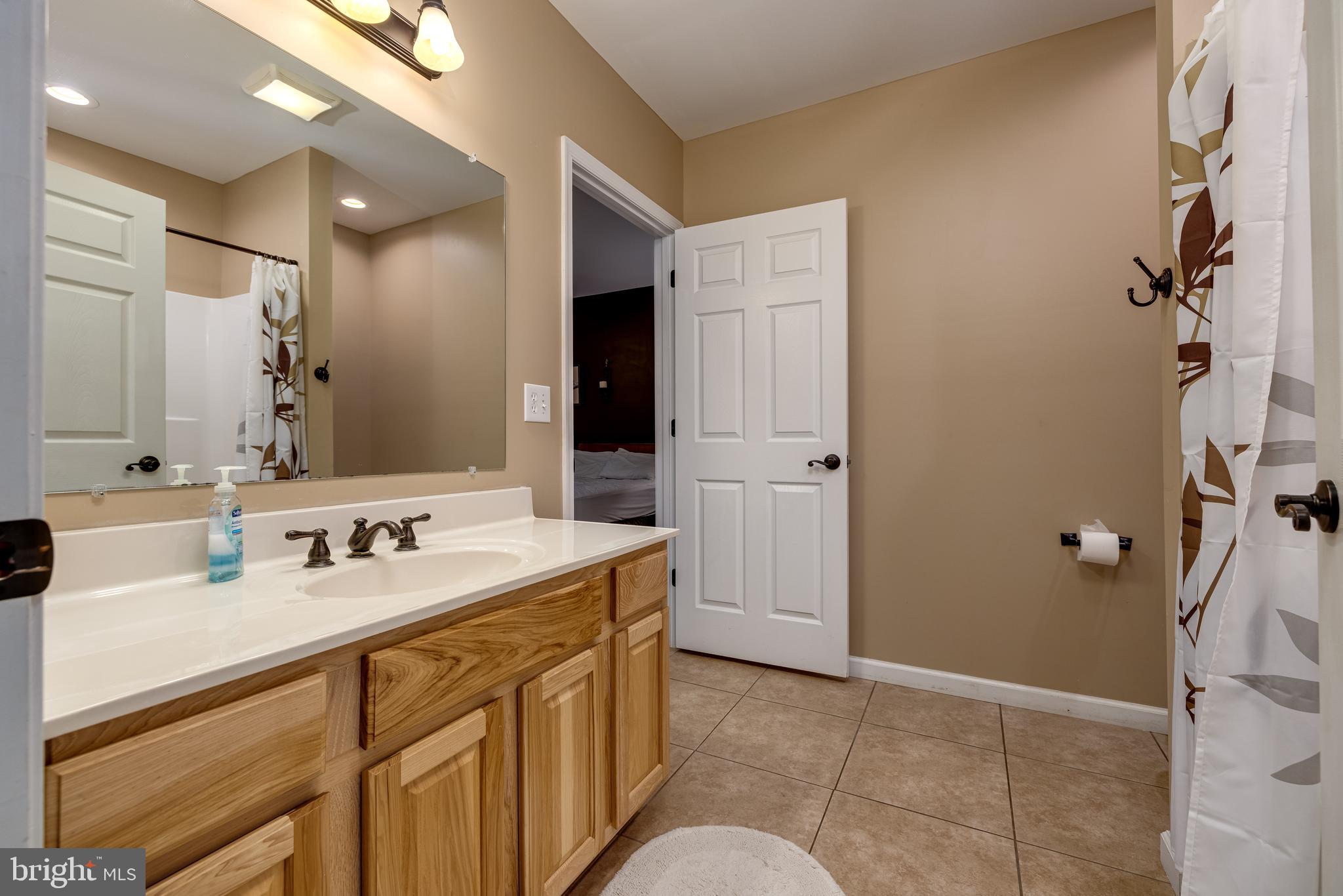 2225 Valley Burg Road Luray, VA 22835 - Photo 34 of 74 a bathroom with a sink and a mirror