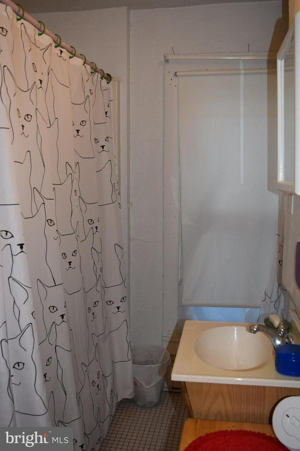 129 Water Street Frederick, MD 21701 - Photo 14 of 16 Interior (General)