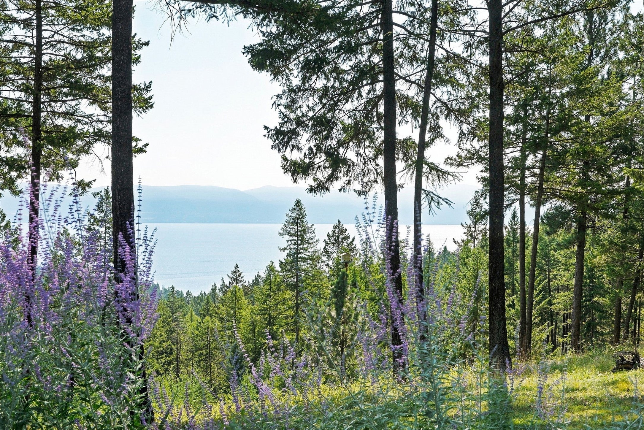 18090 Demmersville Road Lakeside, MT 59922 - Photo 91 of 113 Gallery Image 91