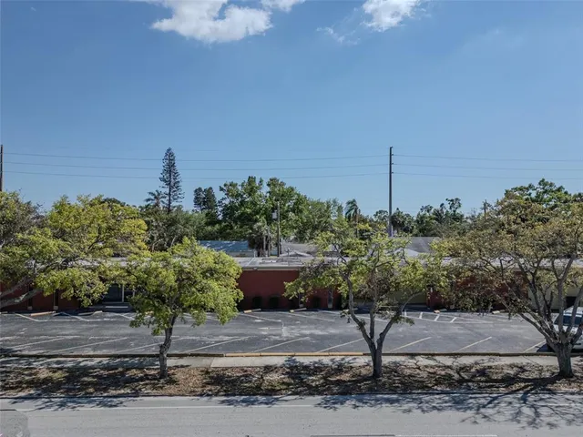 a view of a garden with potted plants