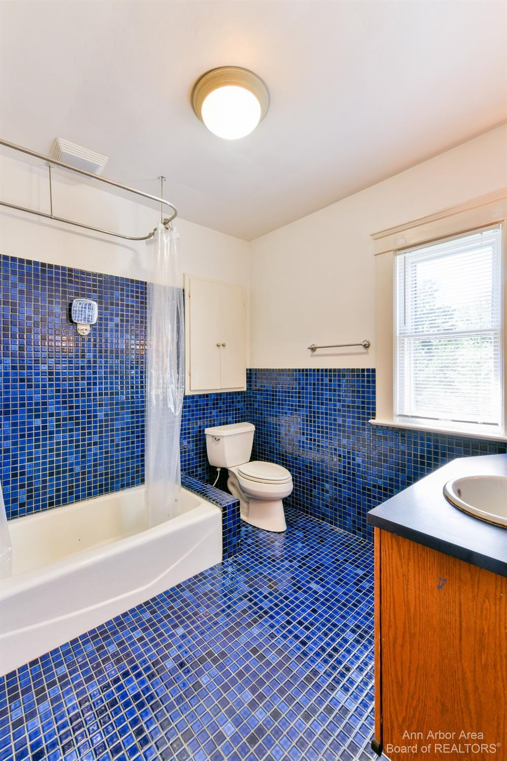 1082 Ferdon Road Ann Arbor, MI 48104 - Photo 25 of 45 Photo 25