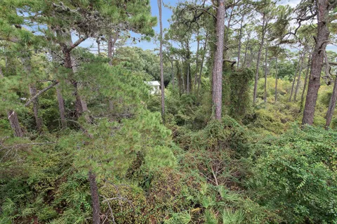 $1,050,000 | 52 Charming Way, Santa Rosa Beach, FL 32459