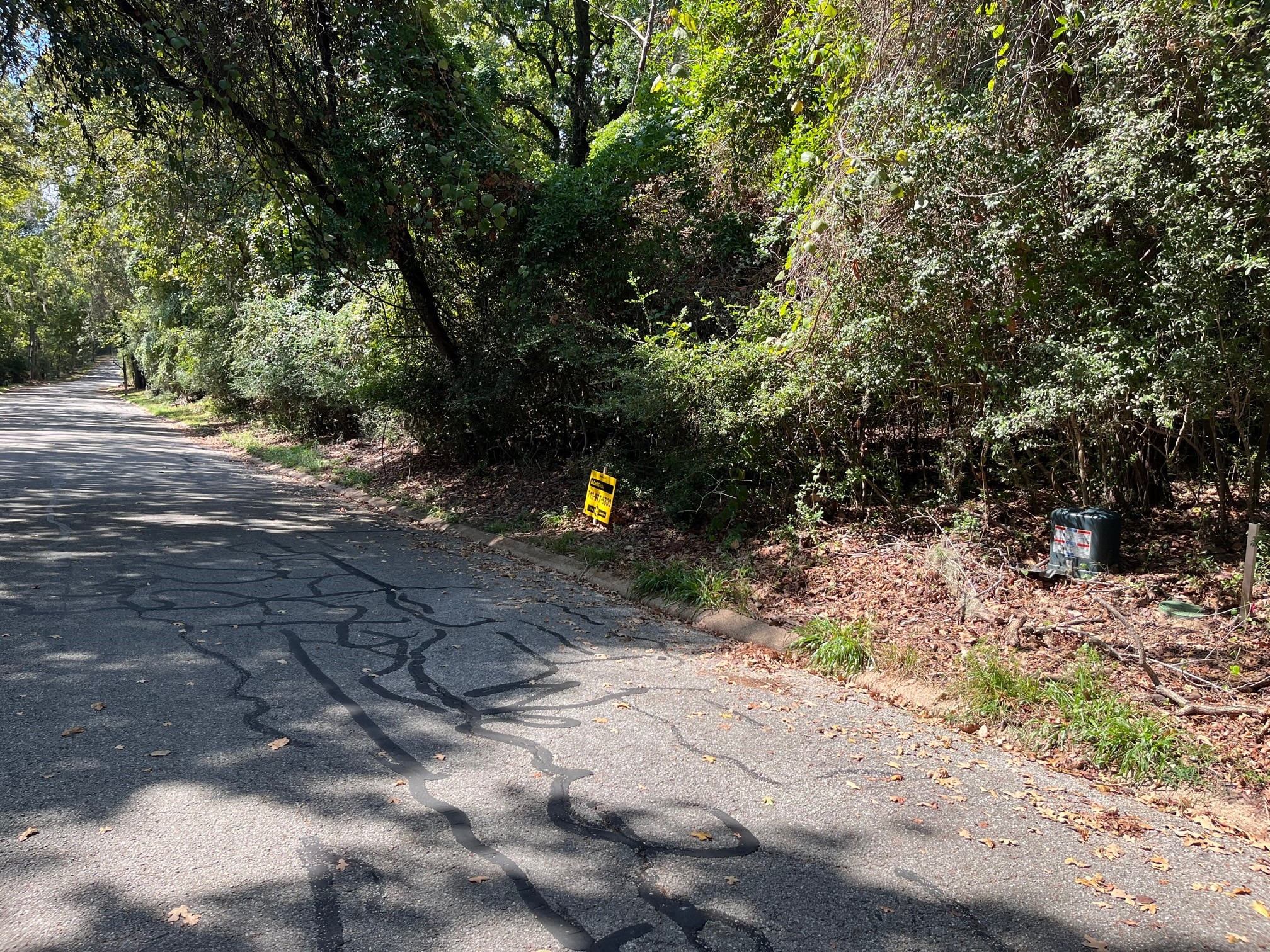 0 Bay Hill Road Point Blank, TX 77364 - Photo 2 of 7