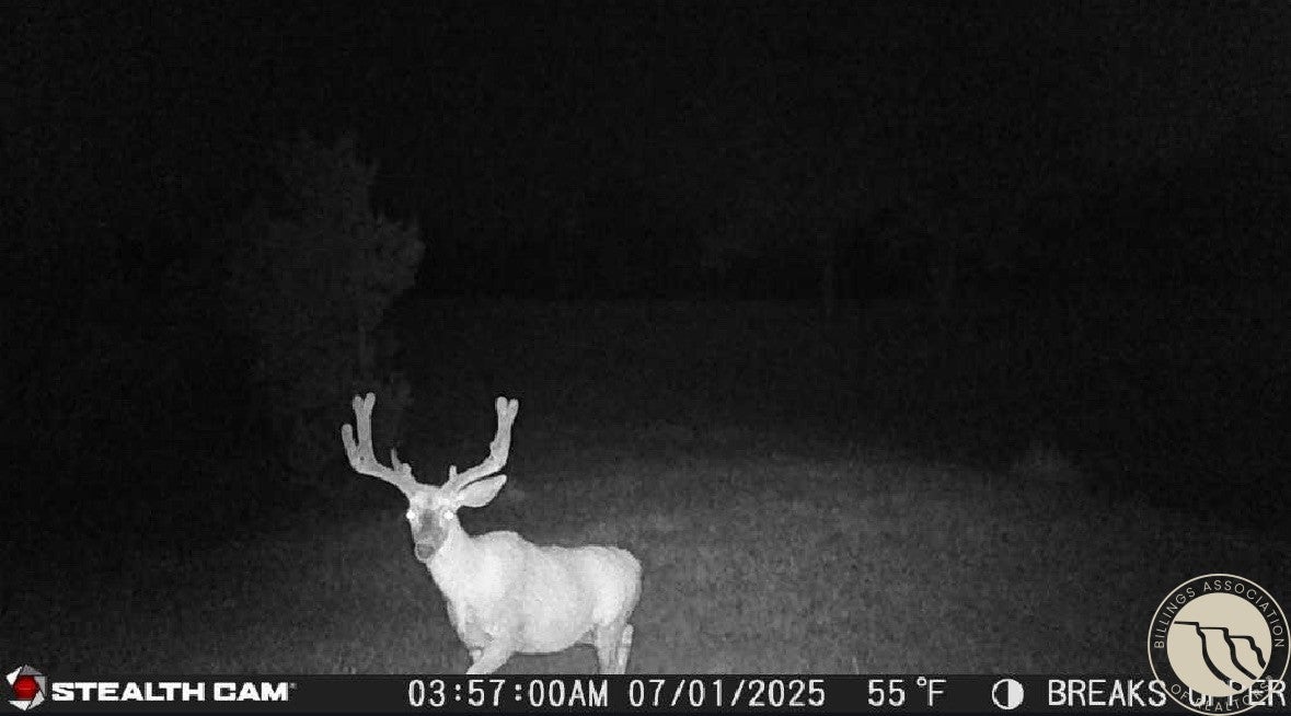 2168 Trophy Rdg Lane Roy, MT 59471 - Photo 32 of 36 Gallery Image 32