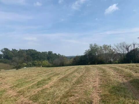6 Greystone Road, Unit 6 Greeneville, TN 37743 - Photo 7 of 7 IMG-1601