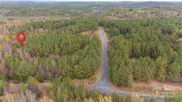 a view of a forest from a lake