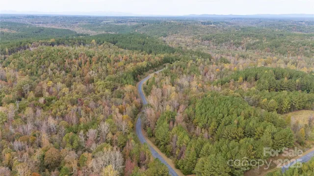 a view of a lush green forest with trees and some houses