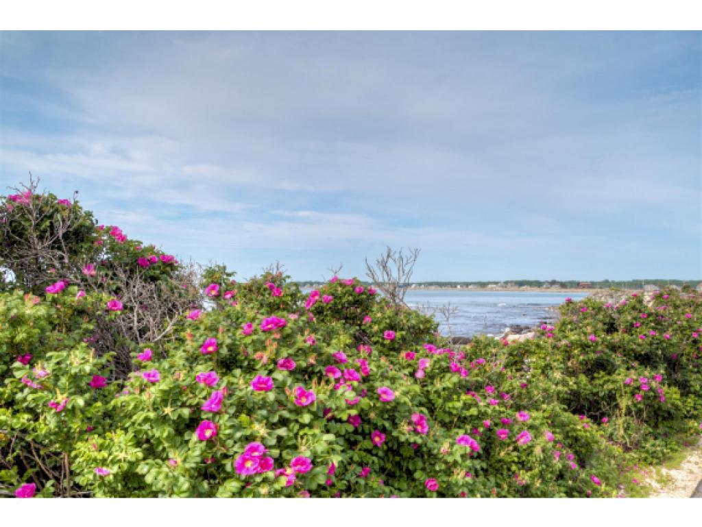 1435 Ocean Boulevard Rye, NH 03870 - Photo 3 of 36 Gallery Image 3