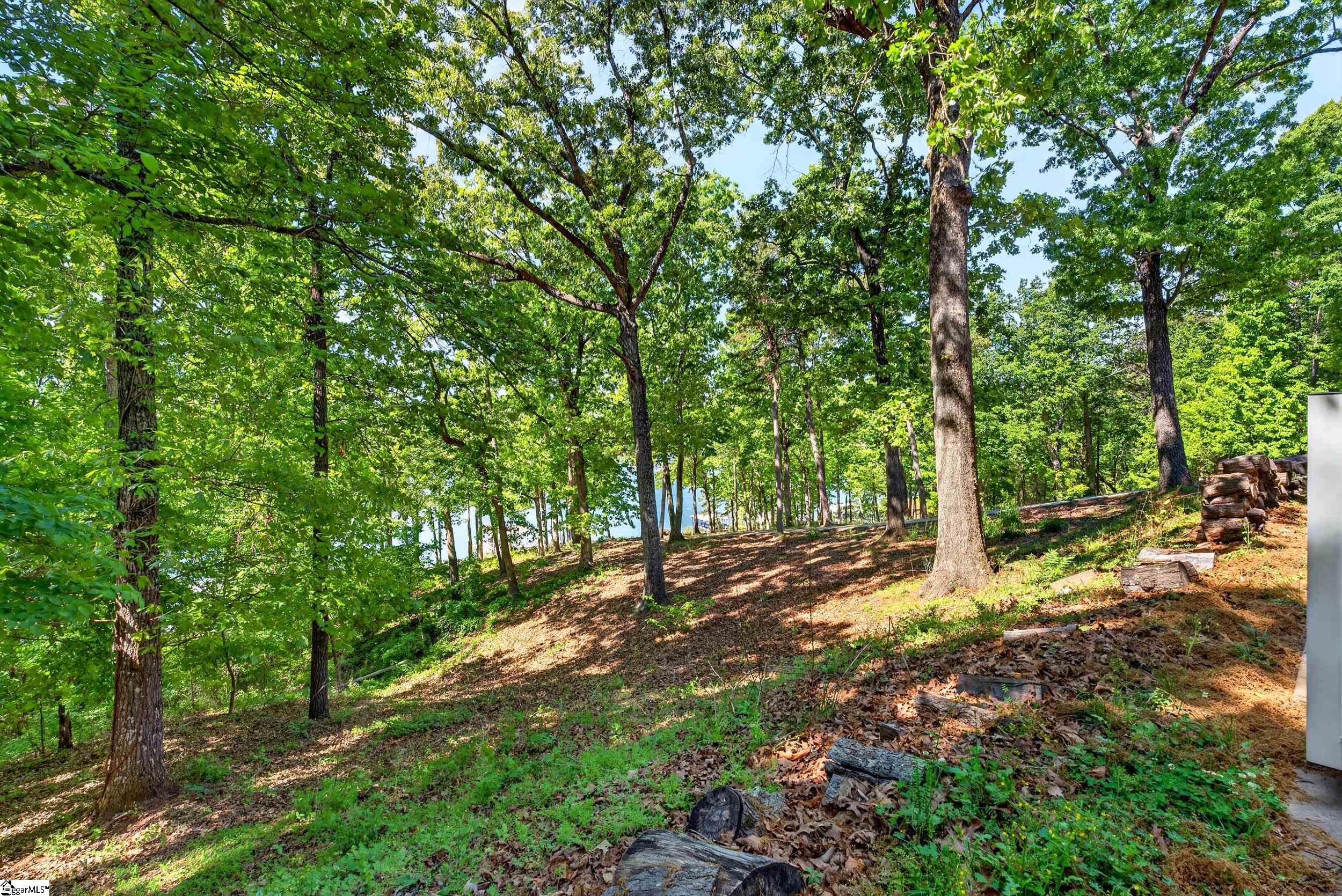 245 Perry Circle Townville, SC 29689 - Photo 6 of 42