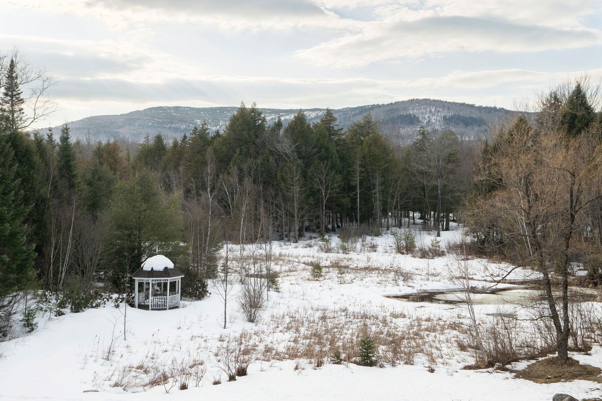 34 Meadow Brook Road Grantham, NH 03753 - Photo 42 of 56