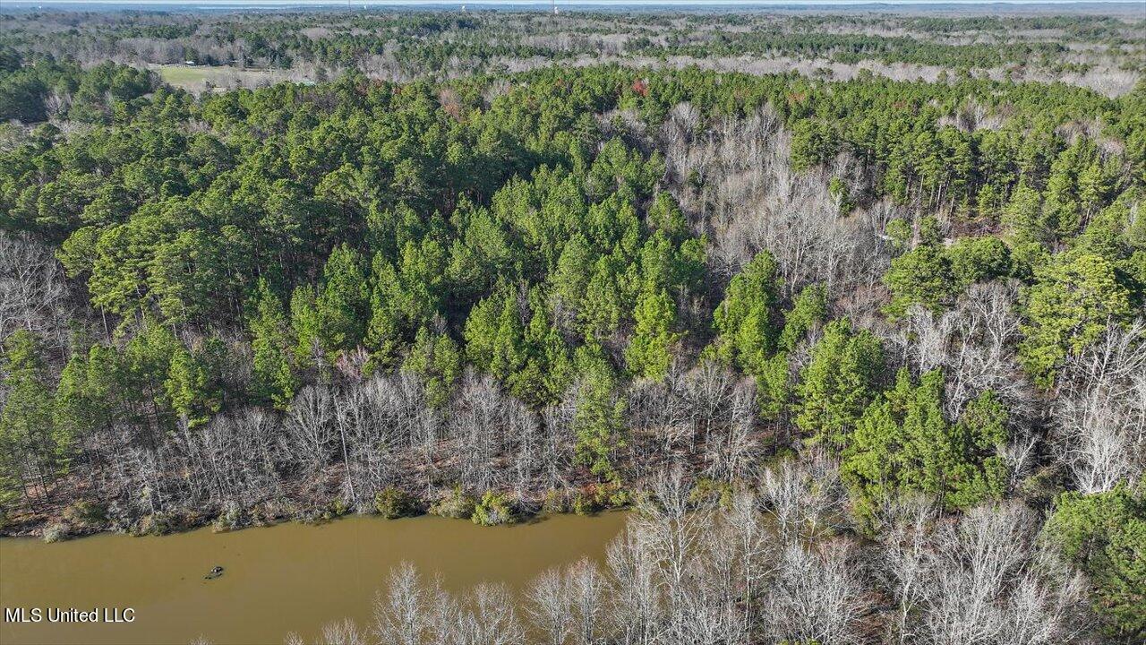 1074 Ridgeside Drive Brandon, MS 39042 - Photo 12 of 30 09-1074 Ridgeside Dr