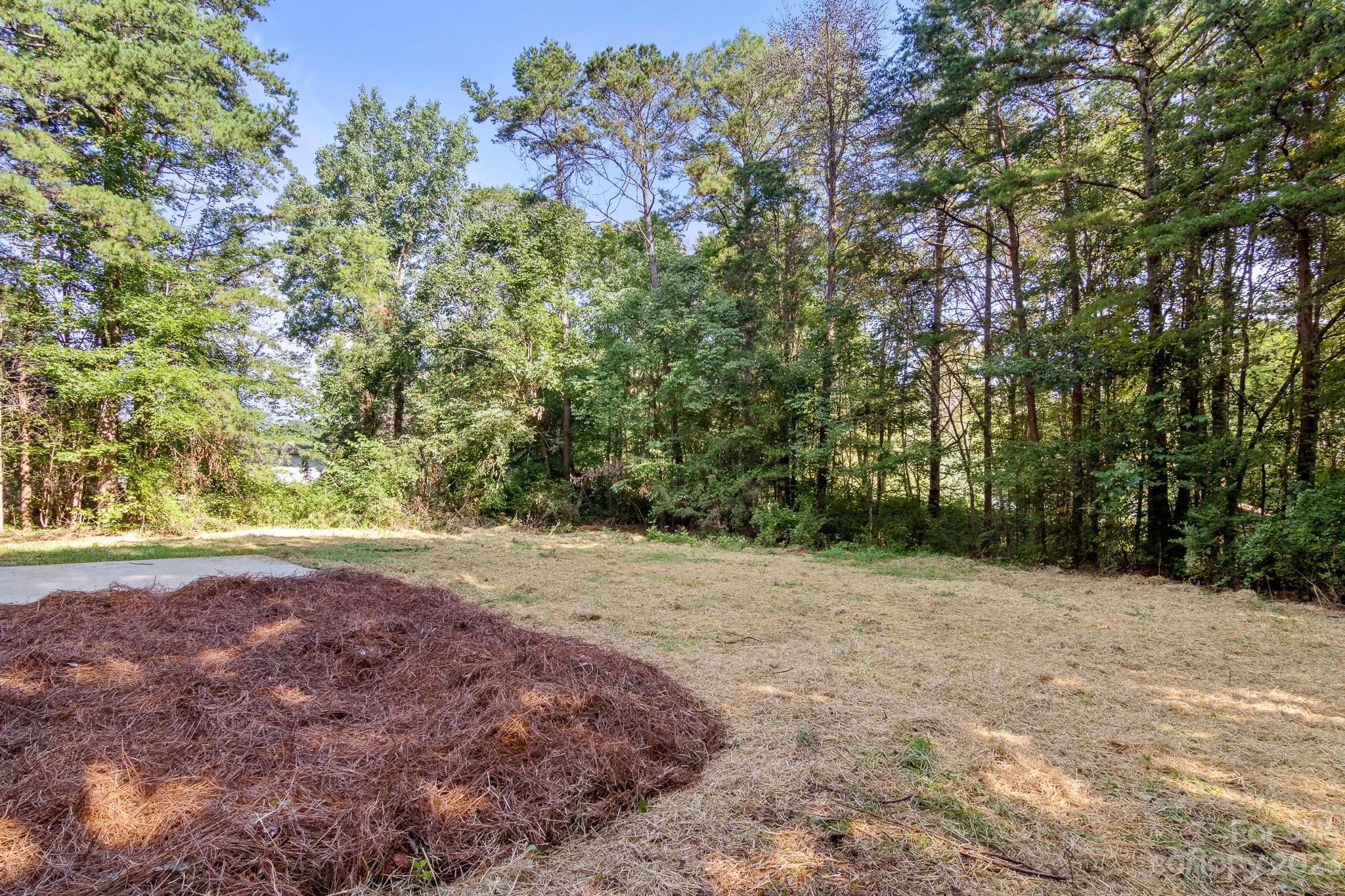 313 Faith Road Mooresville, NC 28115 - Photo 40 of 42 a view of a yard with a tree