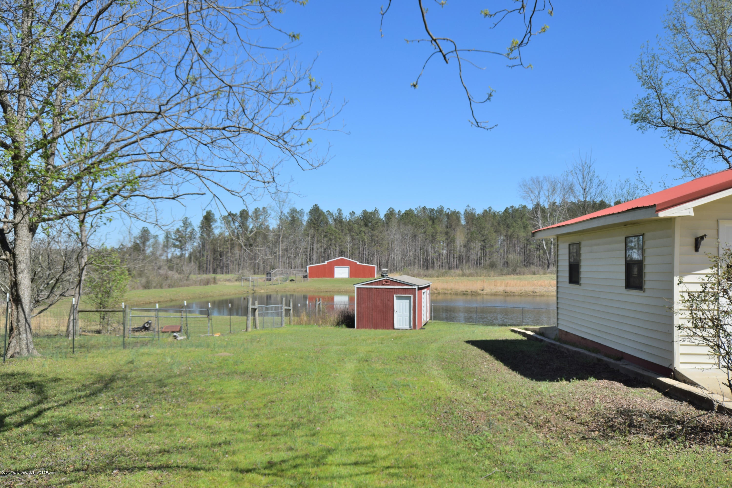 5125 Smith Lake Dam Road Jasper, AL 35504 - Photo 9 of 26 Gallery Image 9