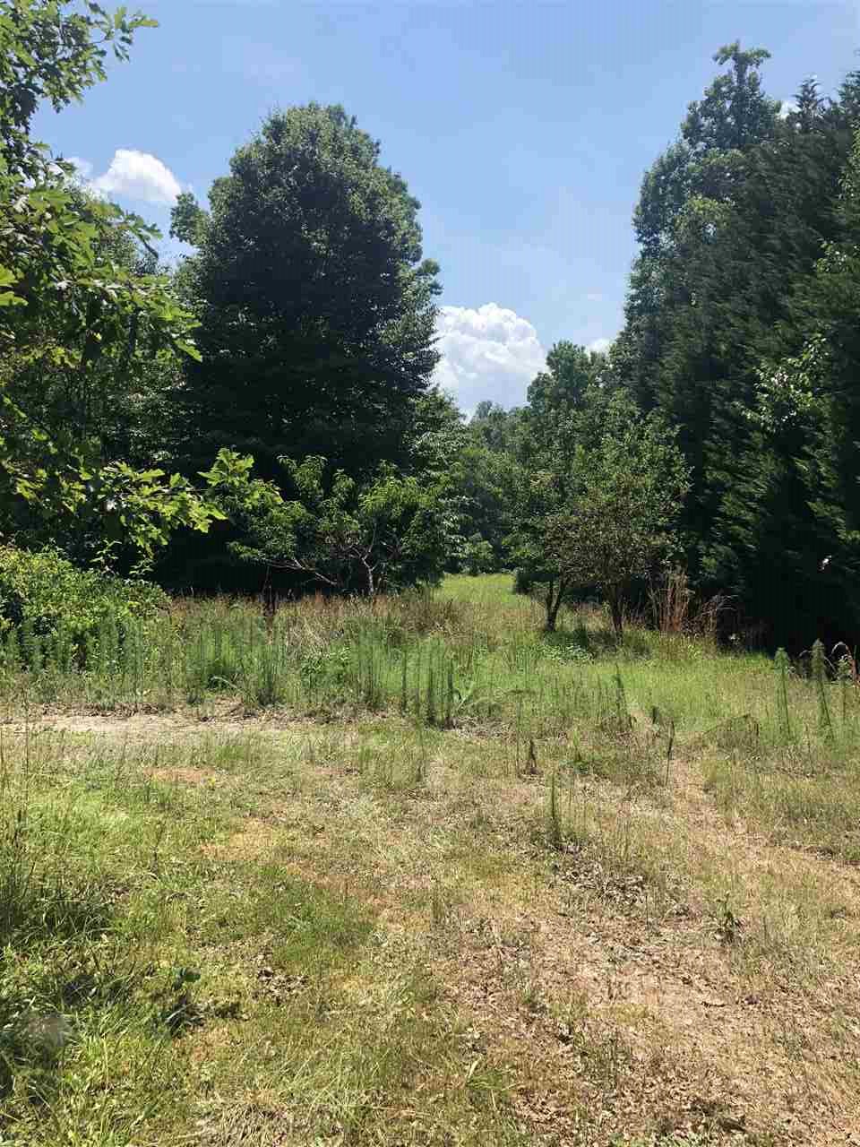 1869 Fountain Inn Road Woodruff, SC 29388 - Photo 6 of 10