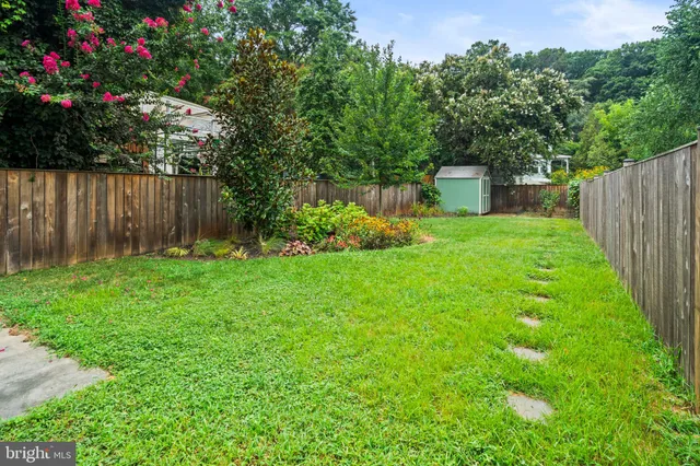 a view of a backyard with potted plants and a large tree