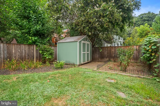 a view of a backyard with plants and tree