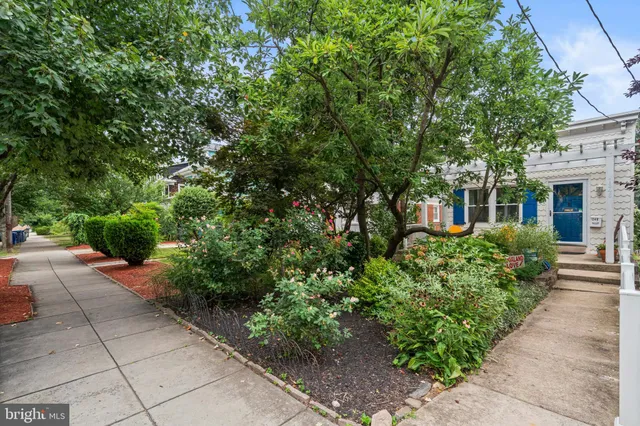 a view of a pathway both side of house