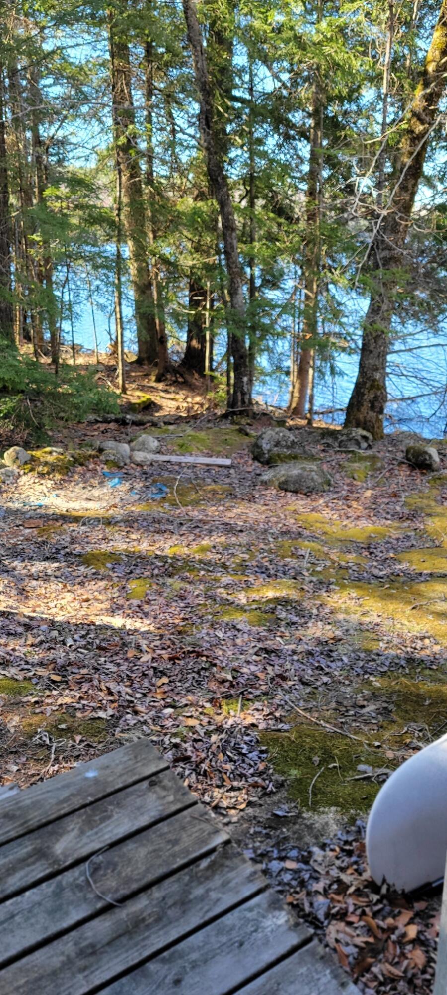 550 Blackguard Road Waterford, ME 04088 - Photo 15 of 29 20240422_092614_resized
