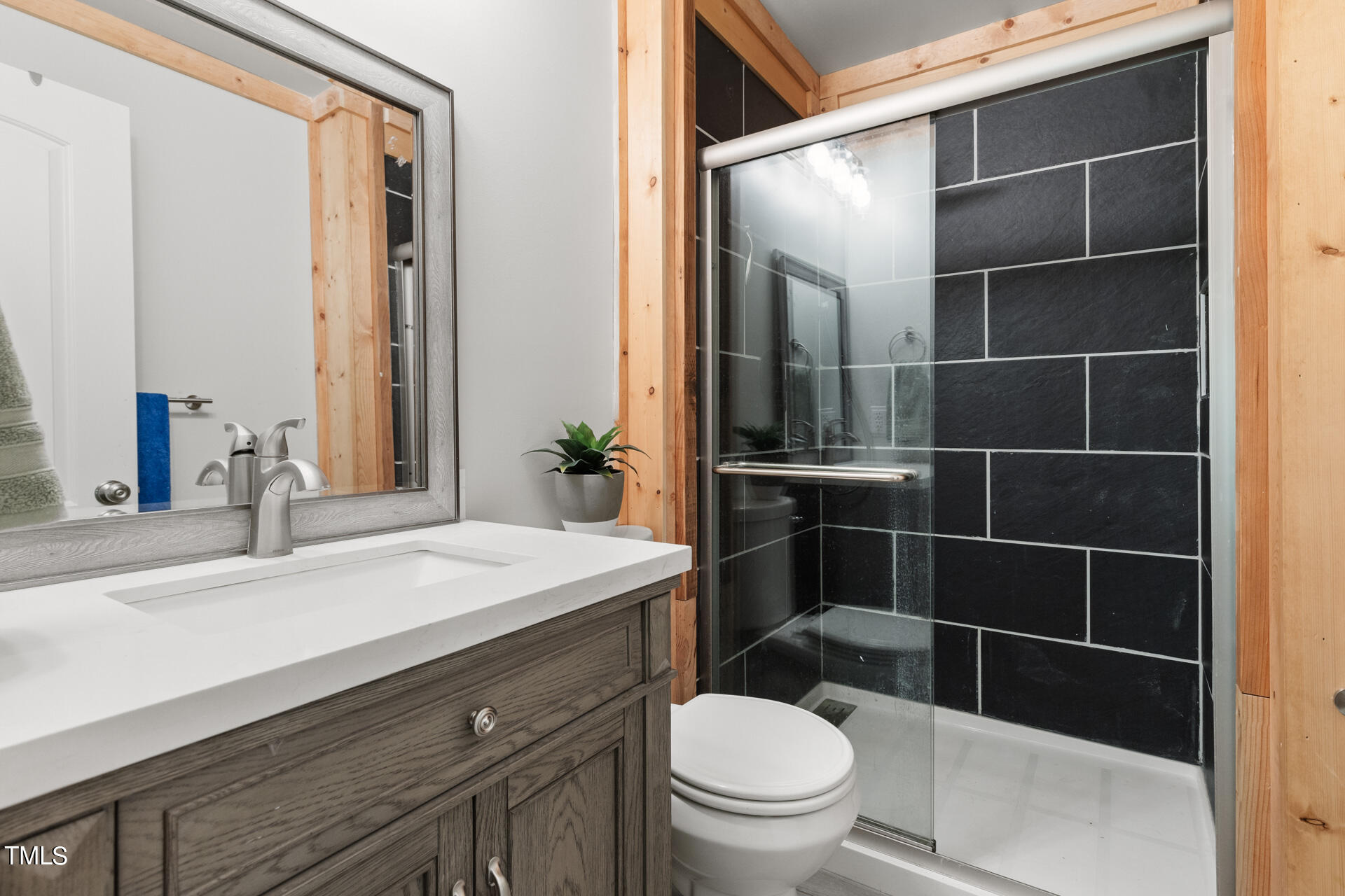 4676 Uzzle Road Rougemont, NC 27572 - Photo 49 of 74 a bathroom with a sink a toilet a mirror and shower