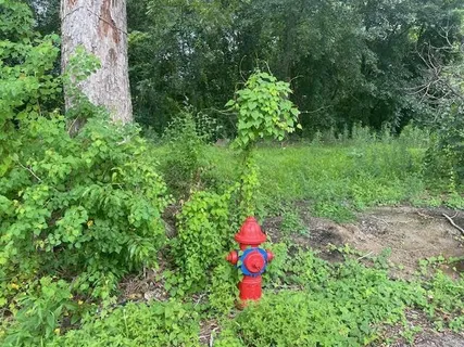 $60,000 | 0 East 3rd Street, Reserve, LA 70084