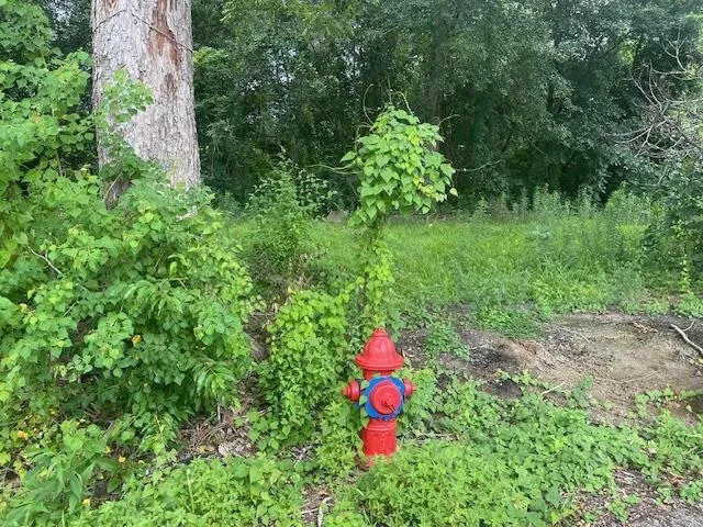 $60,000 | 0 East 3rd Street, Reserve, LA 70084