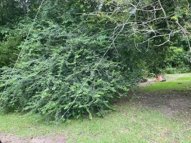 $60,000 | 0 East 3rd Street, Reserve, LA 70084