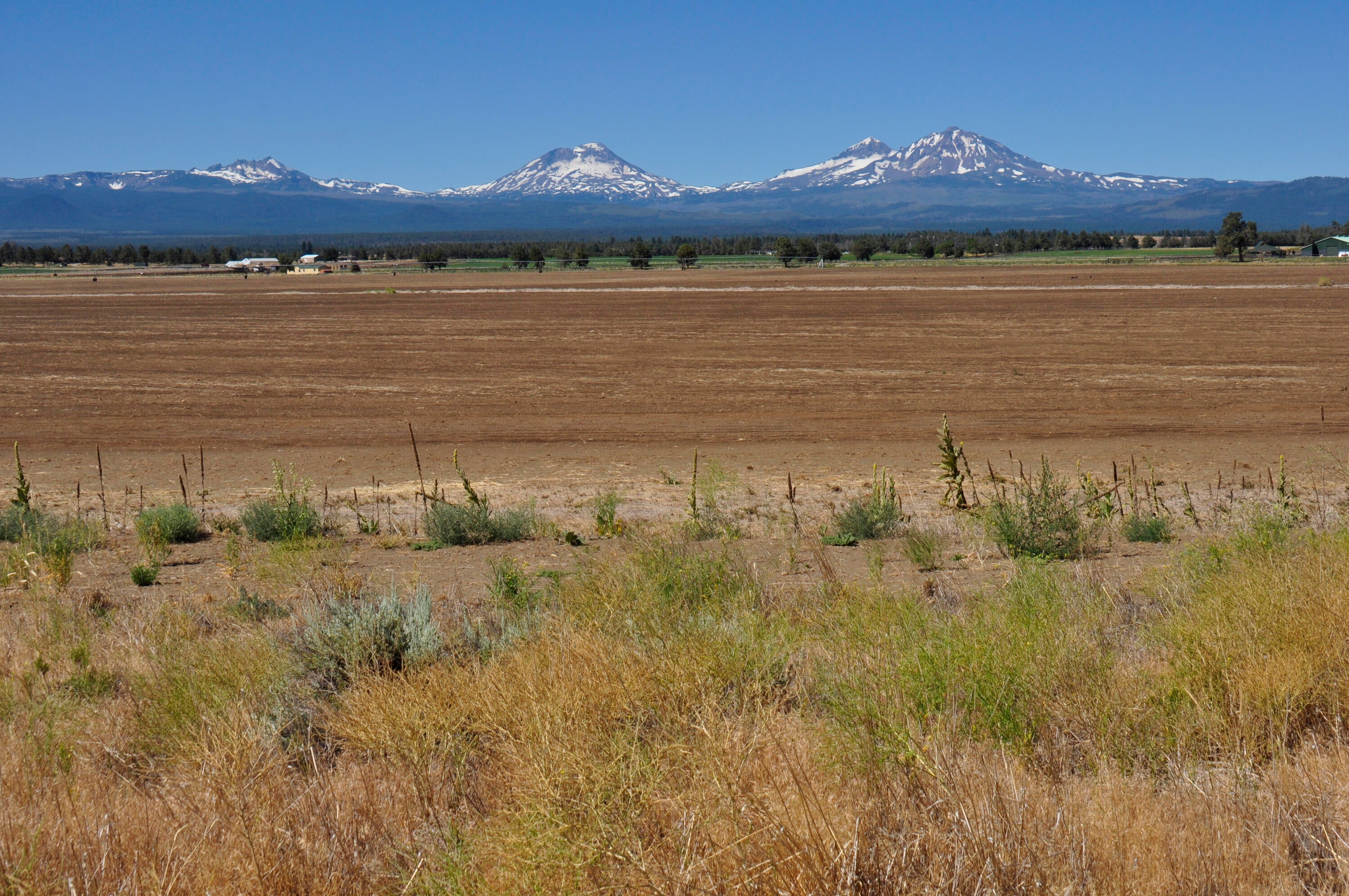 68755 Fryrear Road Sisters, OR 97759 - Photo 28 of 30 _DSC0133