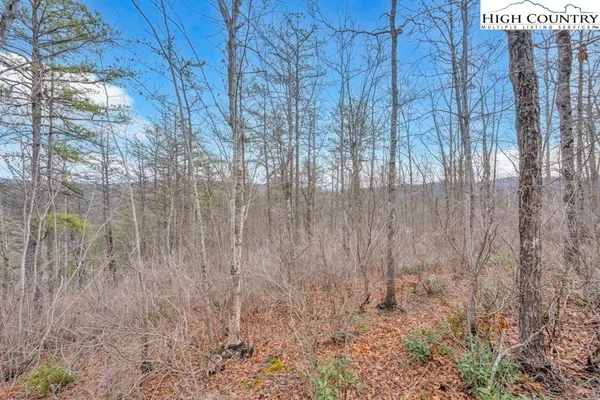 $135,000 | 26 Lavender Lane, Ferguson, NC 28624