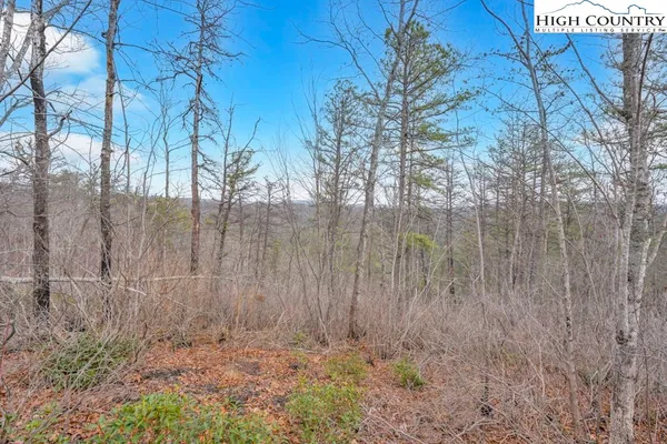 $135,000 | 26 Lavender Lane, Ferguson, NC 28624