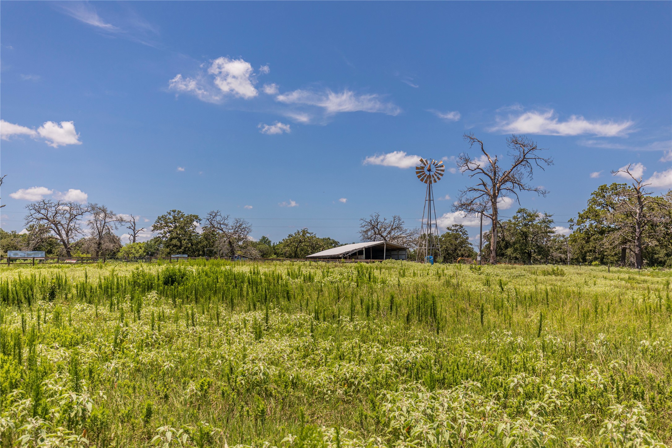 Lot 8 Mill Creek Ranch Road Bellville, TX 77418 - Photo 9 of 20