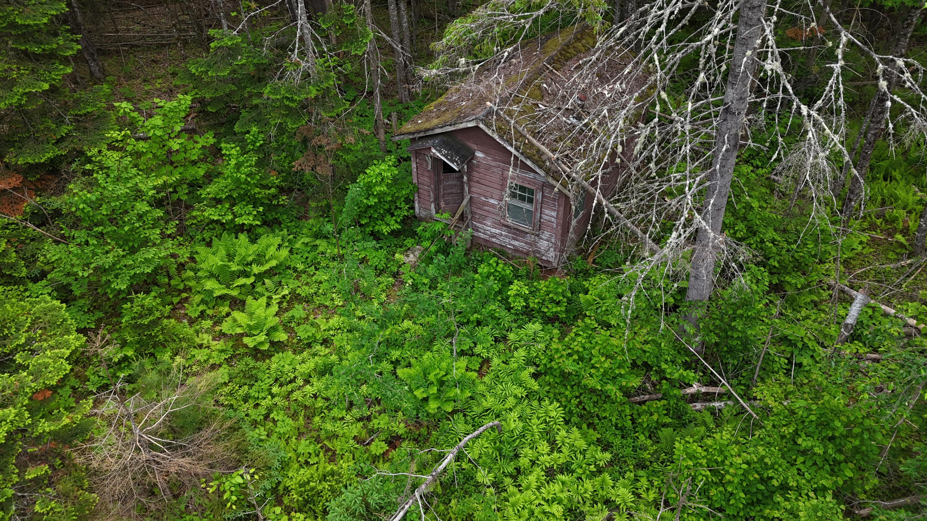 Tbd Old Country Road St. Albans, ME 04971 - Photo 2 of 5 DJI_20250610063645_0051_D