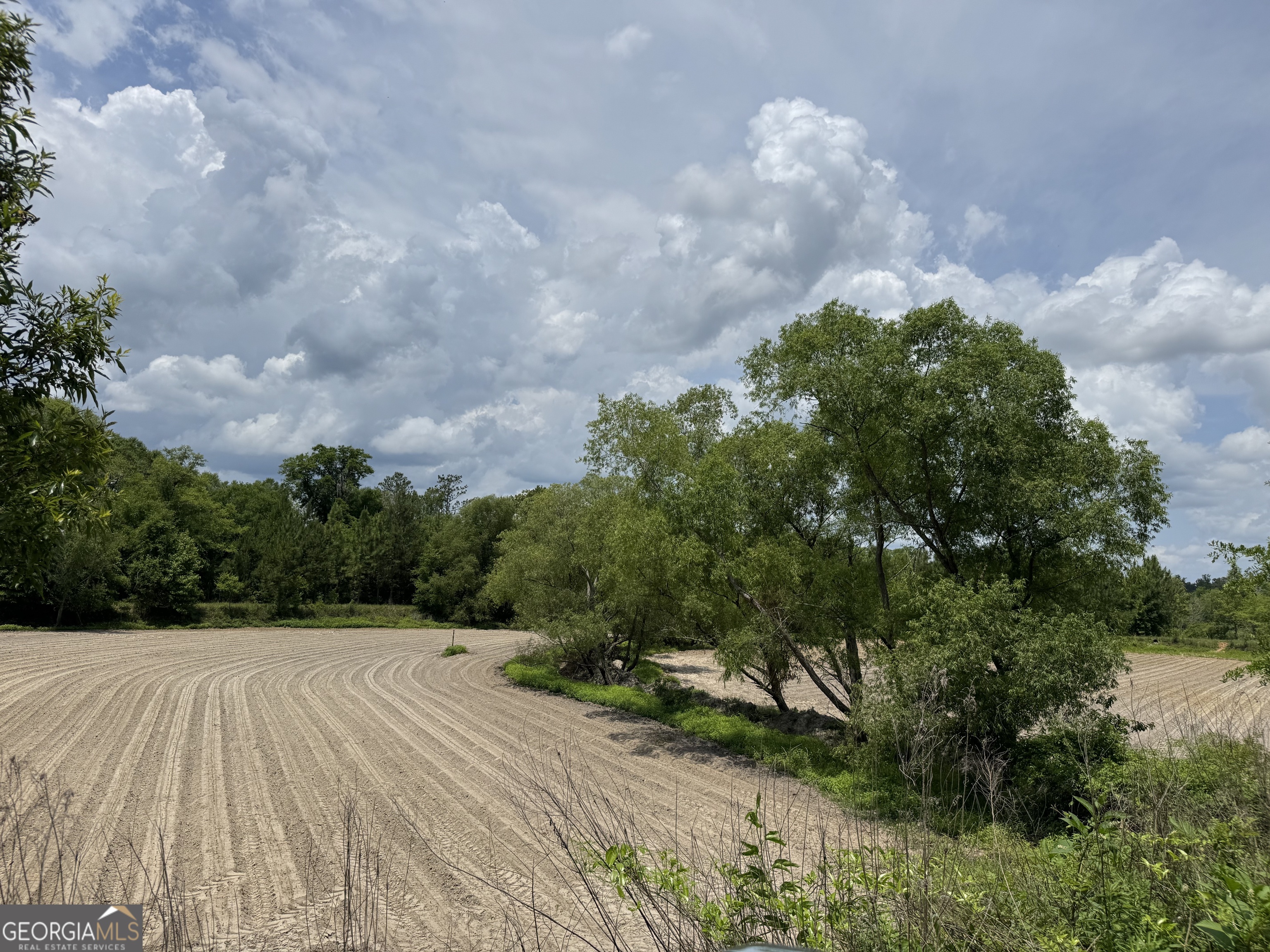 0 Rocky Mt Church Road Eufaula, AL 36027 - Photo 12 of 35