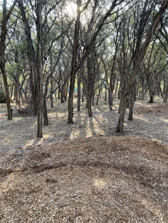a view of empty yard with trees