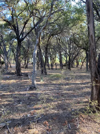 a view of outdoor space with trees