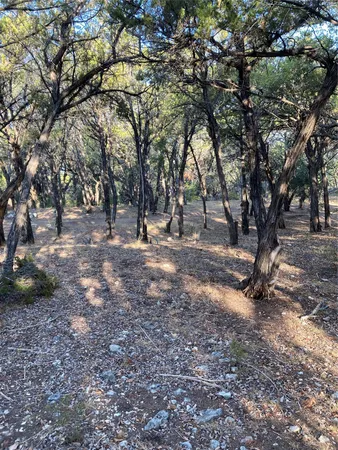 a view of empty space with large trees