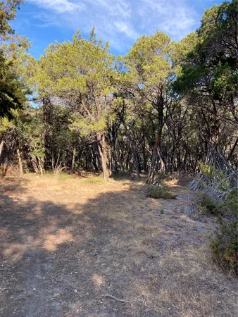 a view of yard