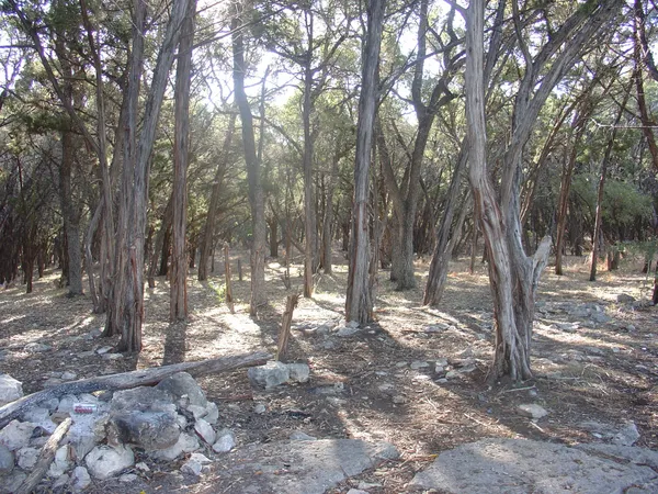 $6,500,000 | 1400 Lisa Drive, Austin, TX 78733
