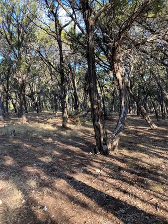 a view of outdoor space with trees