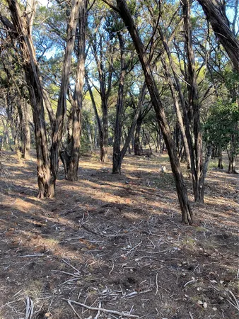 a view of outdoor space with trees