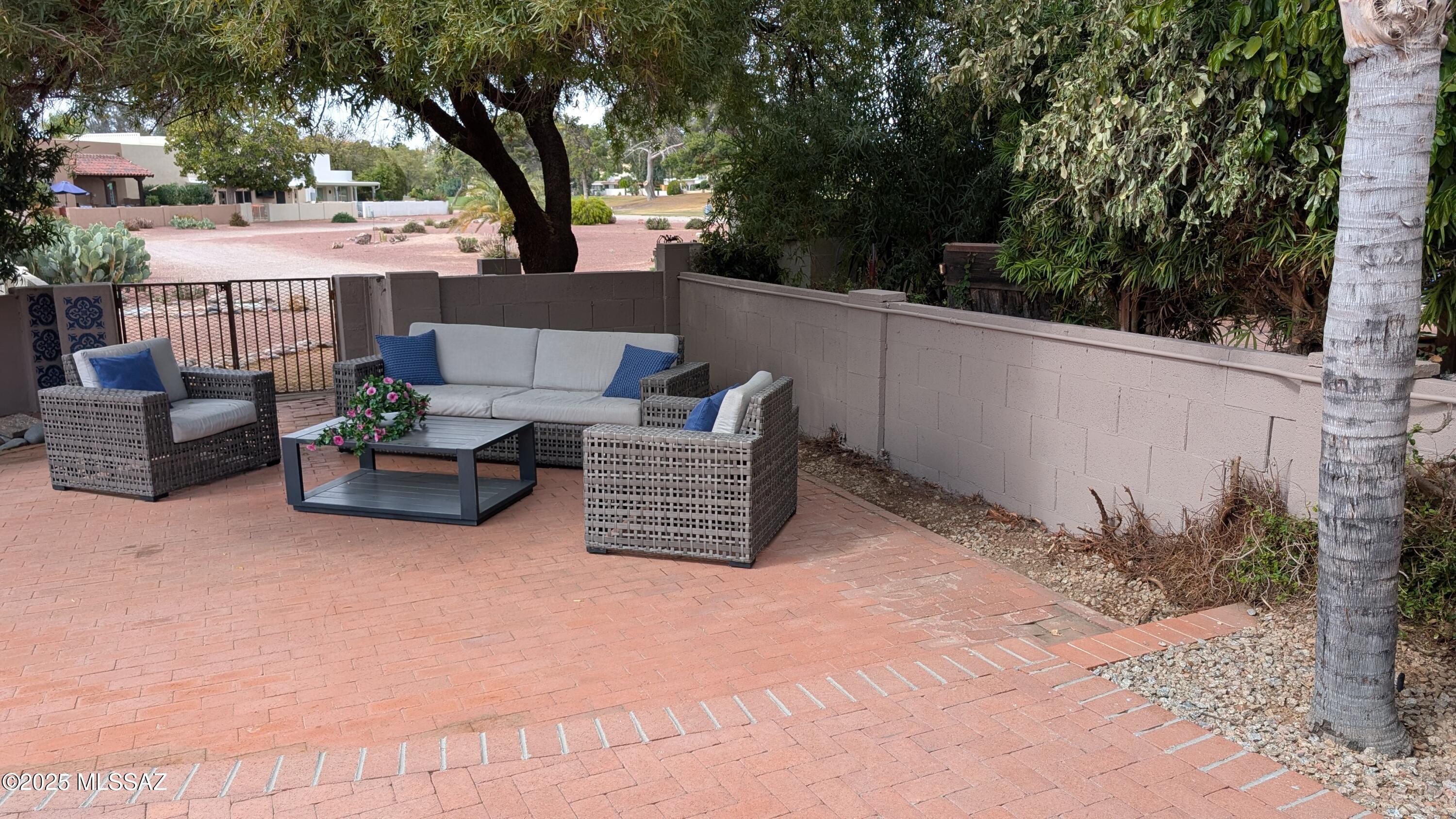 2714 West Magee Road Tucson, AZ 85742 - Photo 27 of 32 Backyard