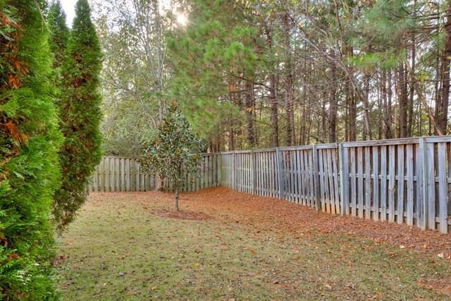 207 Oleander Trail Evans, GA 30809 - Photo 31 of 32 Back Yard