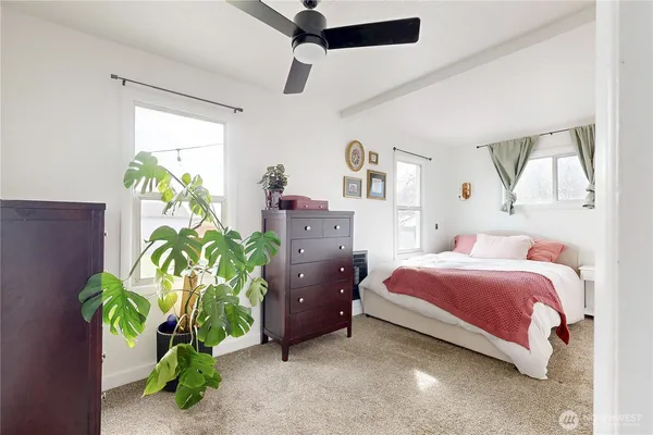 a bedroom with a bed dresser and a potted plant