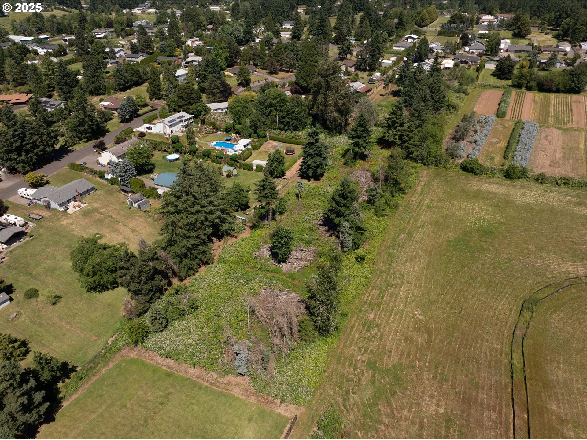 Southeast Armstrong Circle Damascus, OR 97089 - Photo 3 of 8