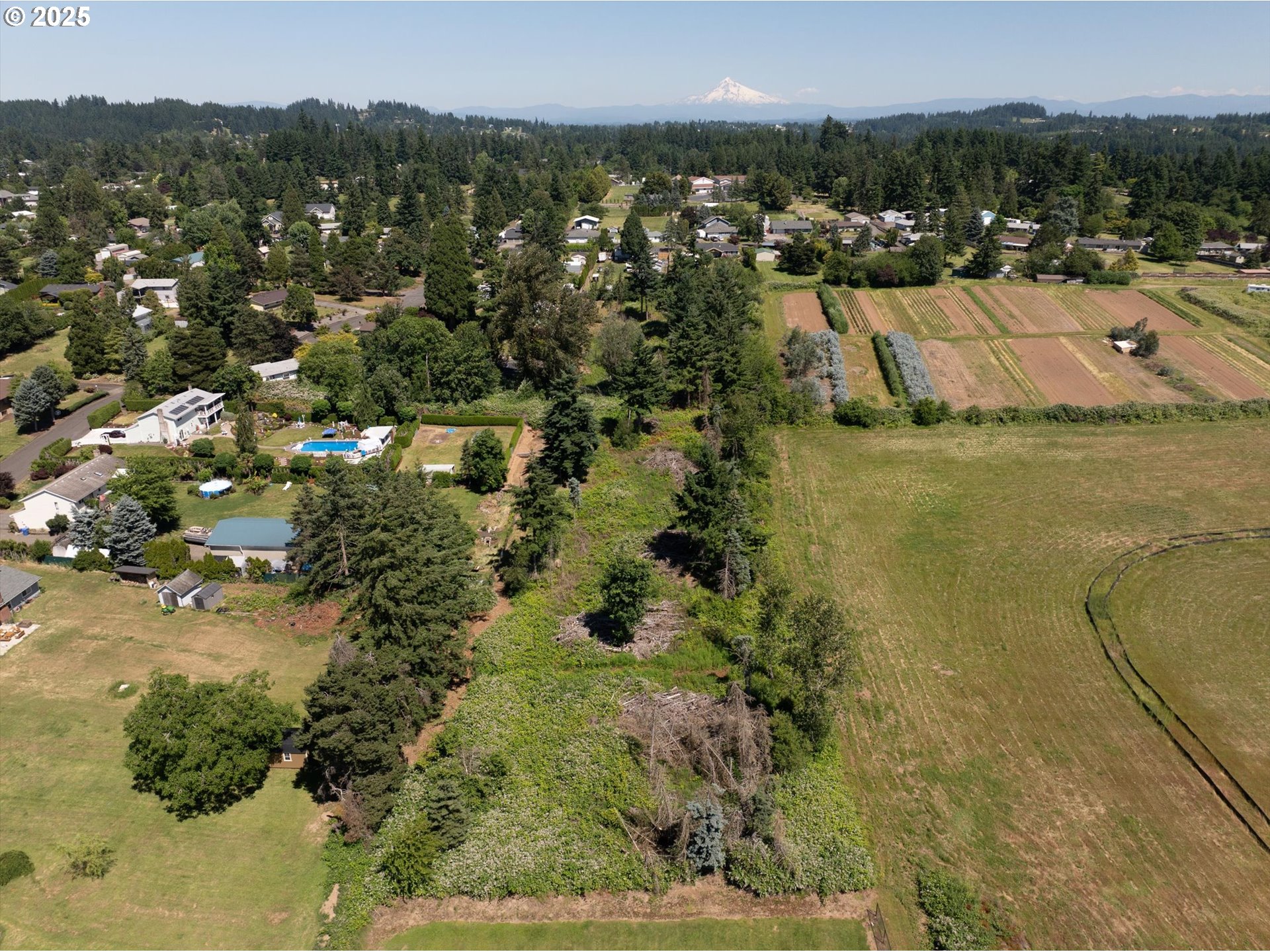 Southeast Armstrong Circle Damascus, OR 97089 - Photo 4 of 8