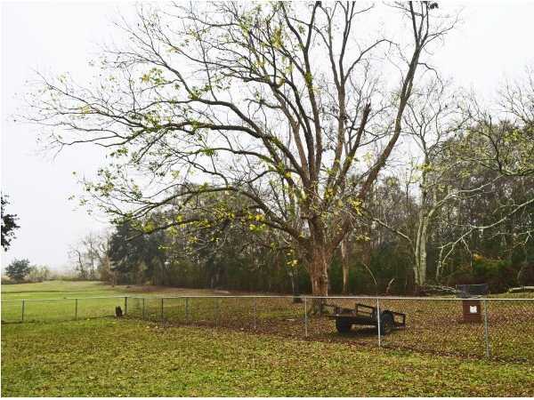 13915 Harrington Road Erath, LA 70533 - Photo 8 of 9 Additional Photo