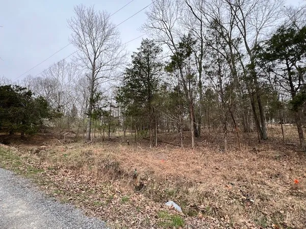 $6,000 | Lot 1234 Indian Camp Drive, Goreville, IL 62939