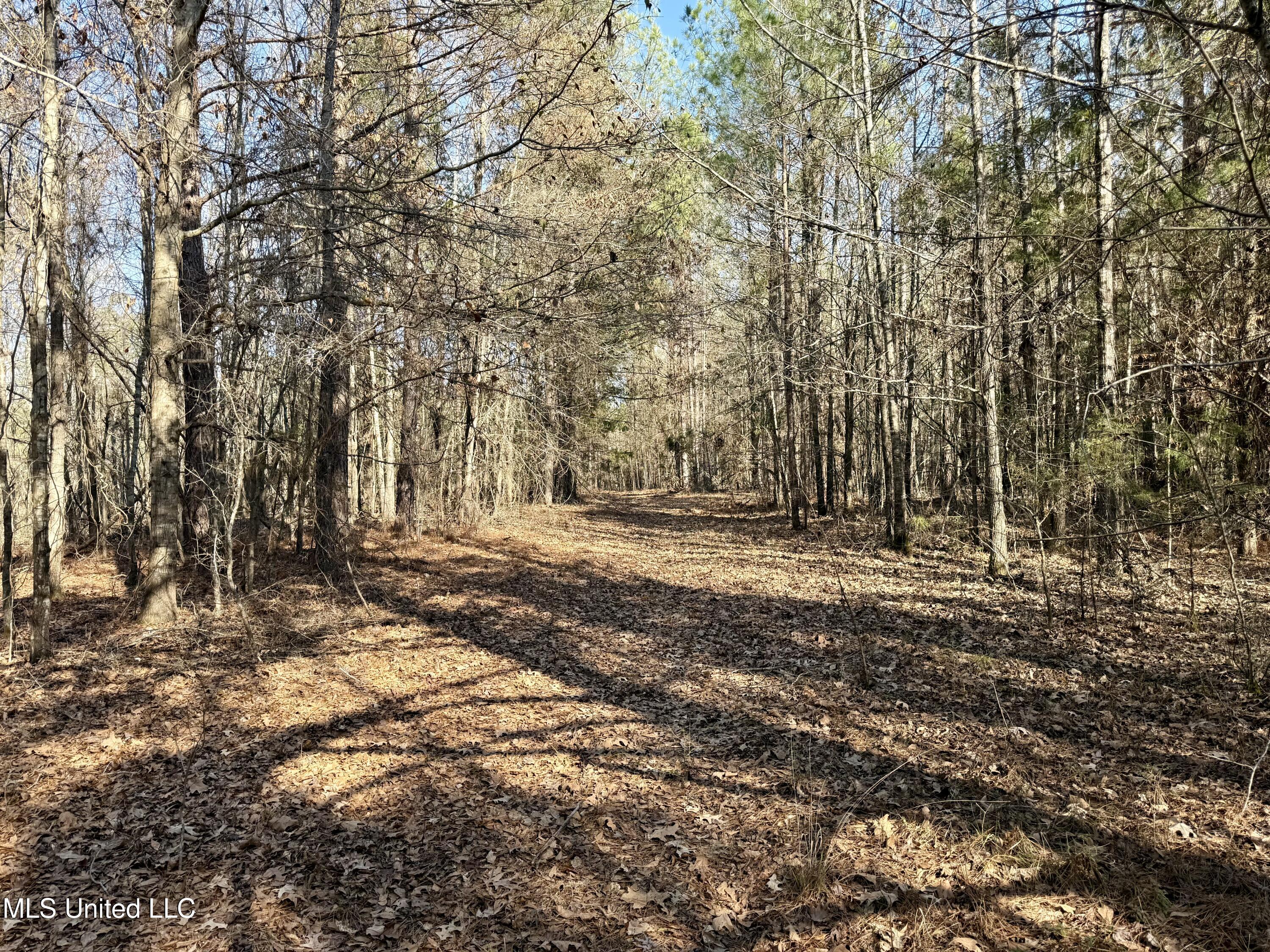 4136 Attala Road Sallis, MS 39160 - Photo 11 of 19 Photo Feb 13 2026, 2 48 13 PM